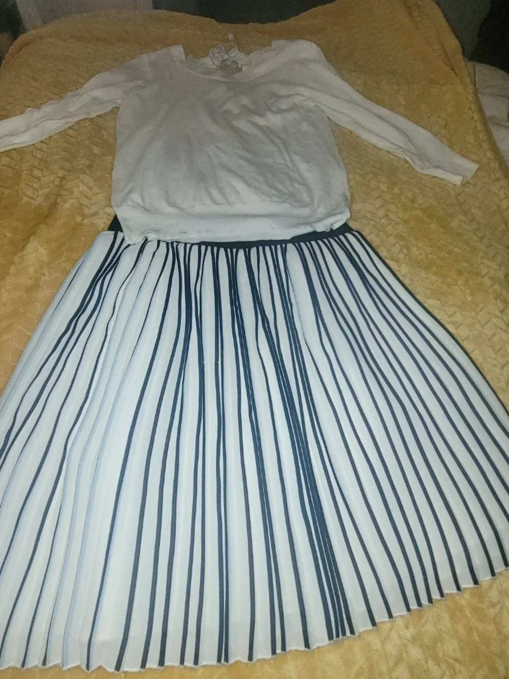 Jcrew pleaded skirt and top